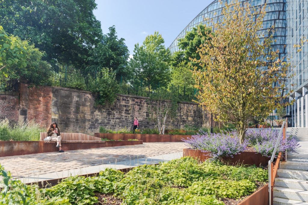 Meadowsite, CyanLine 1